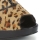 Pantofi Femei Pantofi cu toc Paco Gil DRIST Leopard / Negru