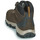 Pantofi Bărbați Drumetie și trekking Columbia NEWTON RIDGE PLUS II WATERPROOF Maro