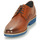 Pantofi Bărbați Pantofi Derby André CANOE Coniac / Albastru