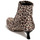Pantofi Femei Botine Katy Perry THE BRIDGETTE Leopard