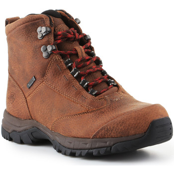Pantofi Femei Drumetie și trekking Ariat Trekking shoes  Berwick Lace Gtx Insulated 10016229 Maro