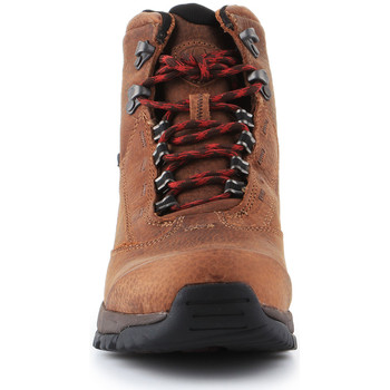 Ariat Trekking shoes  Berwick Lace Gtx Insulated 10016229 Maro