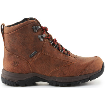 Ariat Trekking shoes  Berwick Lace Gtx Insulated 10016229 Maro