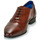 Pantofi Bărbați Pantofi Oxford Azzaro DOGME Coniac