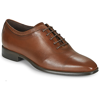 Pantofi Bărbați Pantofi Oxford Carlington MINEA Coniac