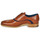 Pantofi Bărbați Pantofi Oxford Barker EMERSON Maro / Albastru