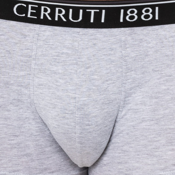 Cerruti 1881 109-002458 Gri