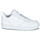 Pantofi Copii Pantofi sport Casual Nike COURT BOROUGH LOW 2 GS Alb