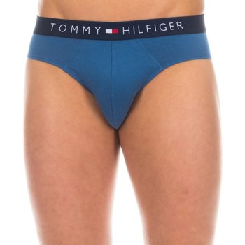 Tommy Hilfiger 1U87905064-409 albastru