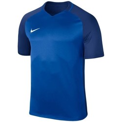Îmbracaminte Bărbați Tricouri mânecă scurtă Nike Dry Trophy Iii Albastru