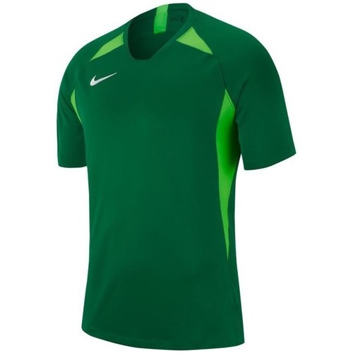Îmbracaminte Bărbați Tricouri mânecă scurtă Nike Legend verde