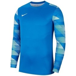 Îmbracaminte Bărbați Hanorace  Nike Dry Park IV albastru
