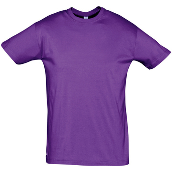 Îmbracaminte Bărbați Tricouri mânecă scurtă Sols REGENT COLORS MEN violet