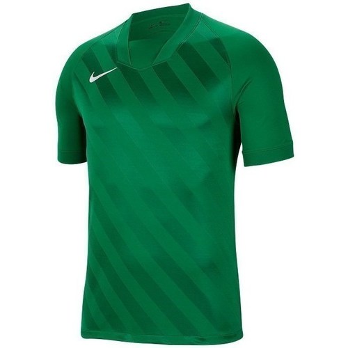 Îmbracaminte Bărbați Tricouri mânecă scurtă Nike Challenge Iii verde
