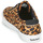 Pantofi Femei Pantofi sport Casual Timberland SKYLA BAY LEATHER OXFORD Leopard