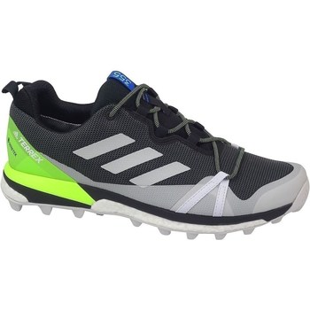 Pantofi Bărbați Drumetie și trekking adidas Originals Terrex Skychaser LT Gtx Gri, Grafit, Celadon