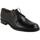 Pantofi Bărbați Pantofi Oxford
 Sergio Serrano  Negru