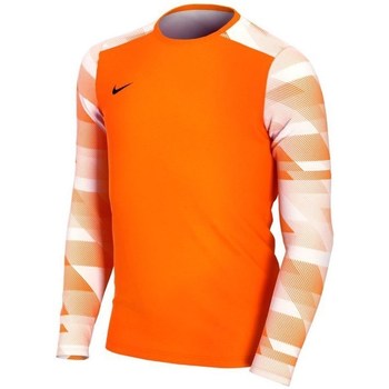 Îmbracaminte Băieți Tricouri mânecă scurtă Nike JR Dry Park IV portocaliu