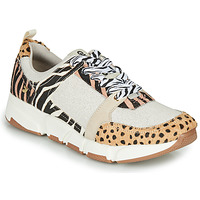 Pantofi Femei Pantofi sport Casual Gioseppo CREAZZO Leopard