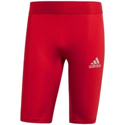 Îmbracaminte Bărbați Pantaloni  adidas Originals Baselayer Alphaskin roșu