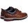 Pantofi Bărbați Pantofi Oxford
 Pikolinos Pirineos M6S-4015 Cuero Altă culoare