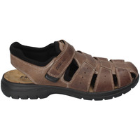 Pantofi Bărbați Sandale
 Enval 3247522 Maro