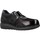 Pantofi Pantofi Oxford
 Pinoso's 7919G Negru