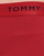 Lenjerie intimă Bărbați Boxeri Tommy Hilfiger TRUNK X3 Alb / Roșu / Albastru
