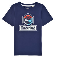 Îmbracaminte Băieți Tricouri mânecă scurtă Timberland GRISS Albastru