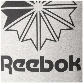 Reebok Sport Big Logo Hoodie Gri