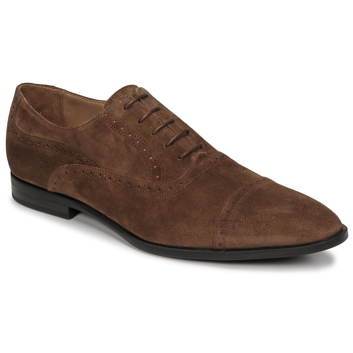 Pantofi Bărbați Pantofi Oxford Pellet ALEX Catifea / Taupe