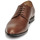 Pantofi Bărbați Pantofi Derby Pellet Alibi Veal / Maro