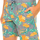 Îmbracaminte Bărbați Pijamale și Cămăsi de noapte Tommy Hilfiger UM0UM00153-416 Multicolor