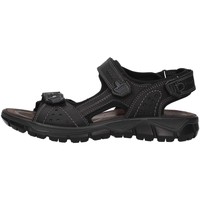 Pantofi Bărbați Sandale
 IgI&CO 5147800 Negru