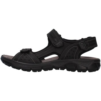 Pantofi Bărbați Sandale
 IgI&CO 7130000 Negru