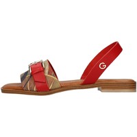 Pantofi Femei Sandale
 Gattinoni PEGAF6171WH roșu