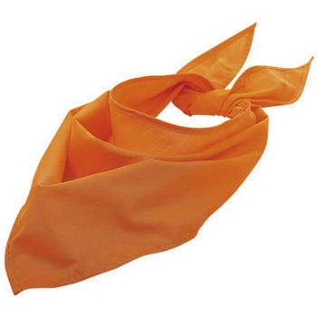 Accesorii textile Esarfe / Ș aluri / Fulare Sols BANDANA Naranja portocaliu