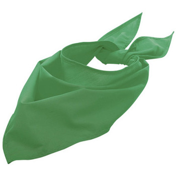 Accesorii textile Esarfe / Ș aluri / Fulare Sols BANDANA Verde Pradera verde