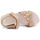 Pantofi Bărbați Sandale Shone L6133-036 Nude roz