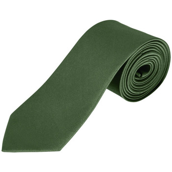 Îmbracaminte Cravate și accesorii Sols GARNER - CORBATA verde