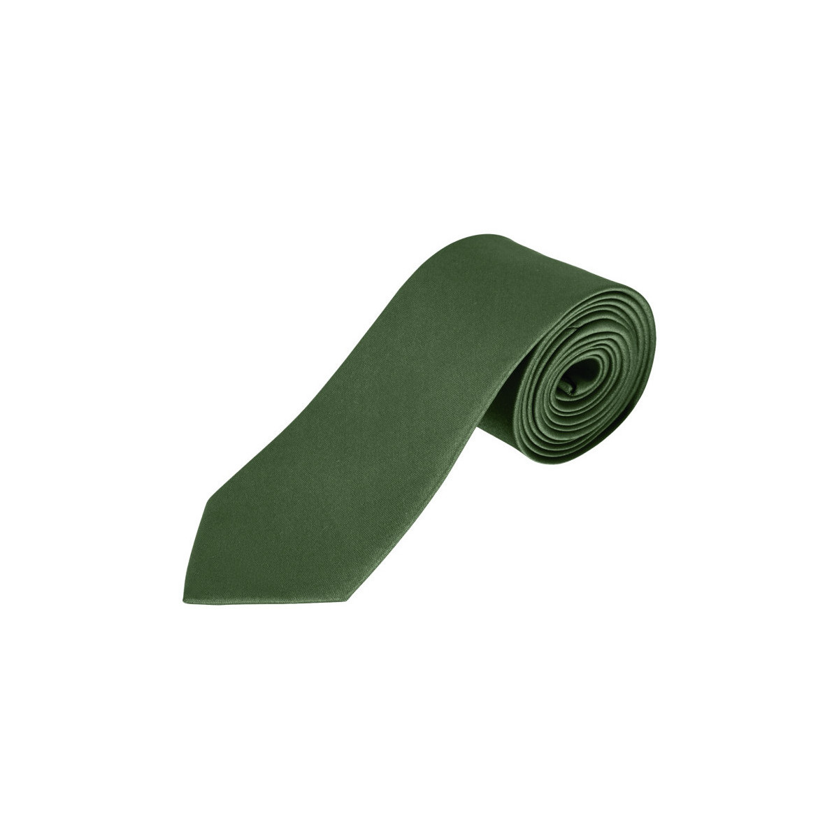 Îmbracaminte Bărbați Costume și cravate Sols GARNER - CORBATA verde