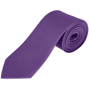 Îmbracaminte Bărbați Costume și cravate Sols GARNER - CORBATA violet