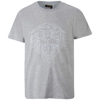 Îmbracaminte Bărbați Tricouri mânecă scurtă Ed Hardy - Tiger glow t-shirt mid-grey Gri