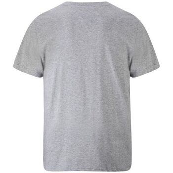 Ed Hardy Tiger glow t-shirt mid-grey Gri