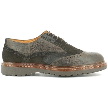 Pantofi Bărbați Pantofi Oxford Rogers 1834B Albastru