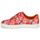 Pantofi Femei Pantofi sport Casual Cosmo Paris HAJIA Roz / înflorit