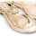 Pantofi Femei Sandale EAX XDQ006 XV140 Auriu