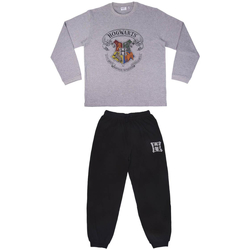 Îmbracaminte Pijamale și Cămăsi de noapte Harry Potter 2200006498 Gris