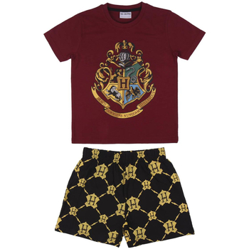 Îmbracaminte Copii Pijamale și Cămăsi de noapte Harry Potter 2200006993 roșu