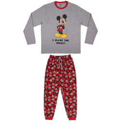 Îmbracaminte Pijamale și Cămăsi de noapte Disney 2200006207 Gri